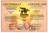 Експортер 2012